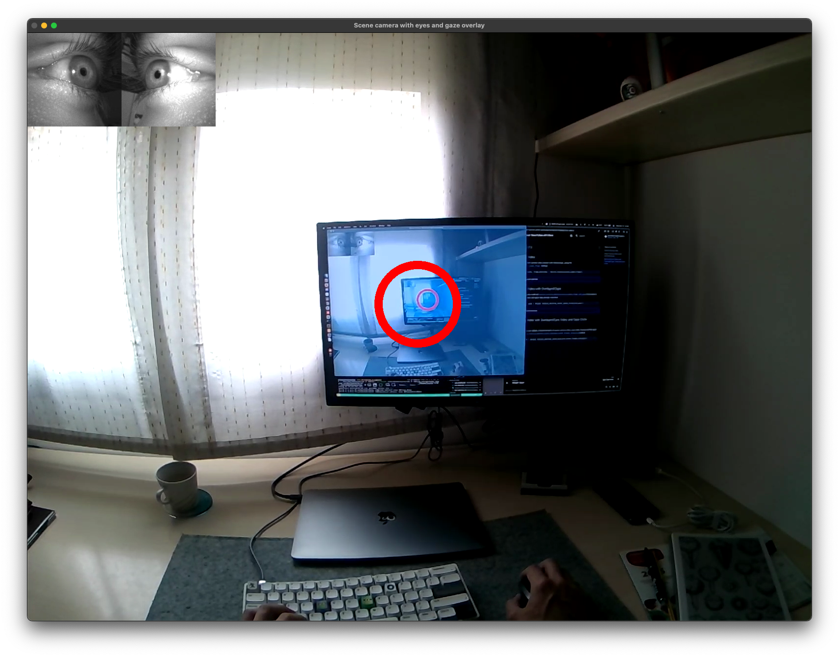 Scene camera with gaze and eyes overlay