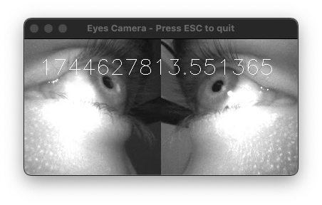 Eye Cameras