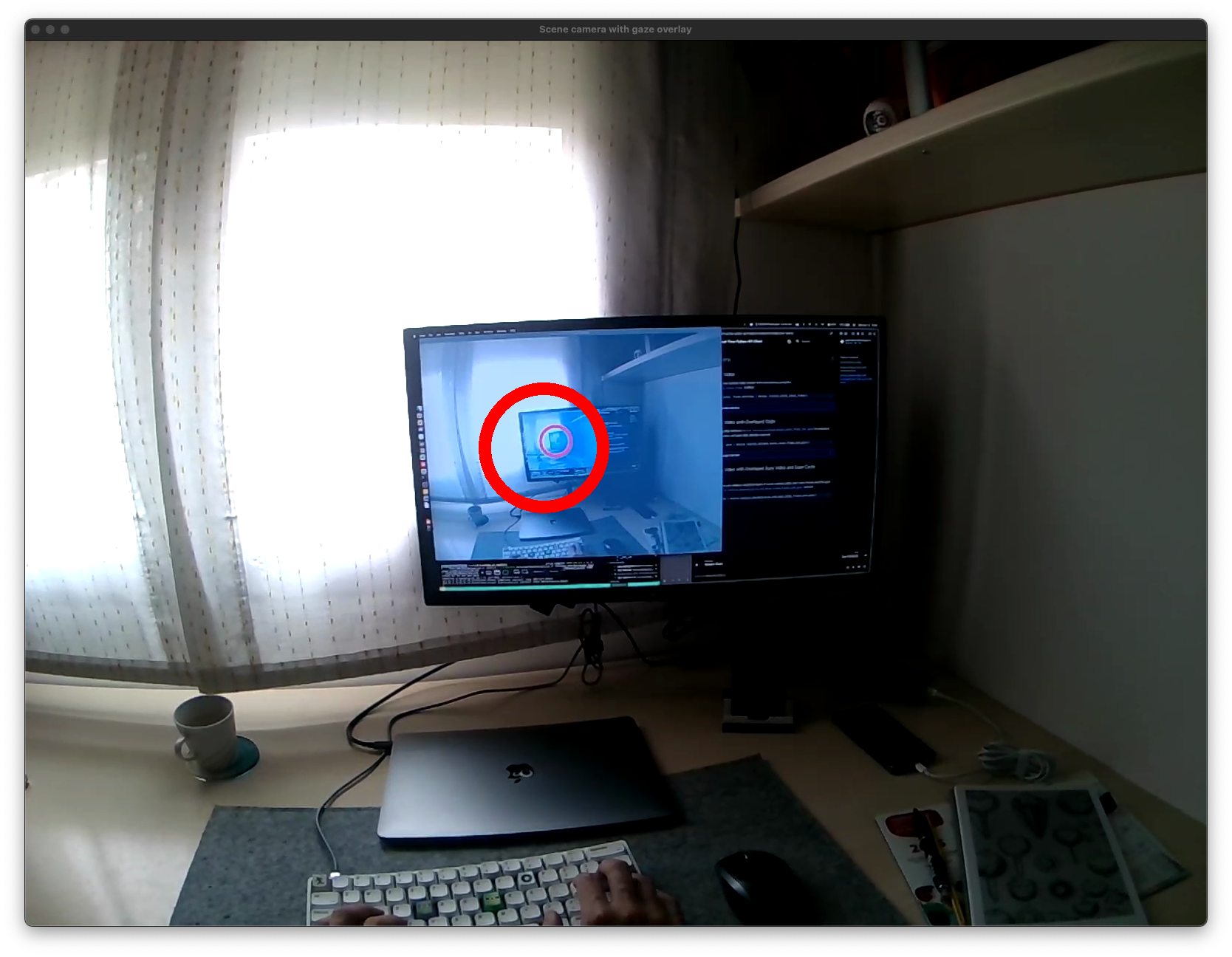 Scene camera with gaze overlay